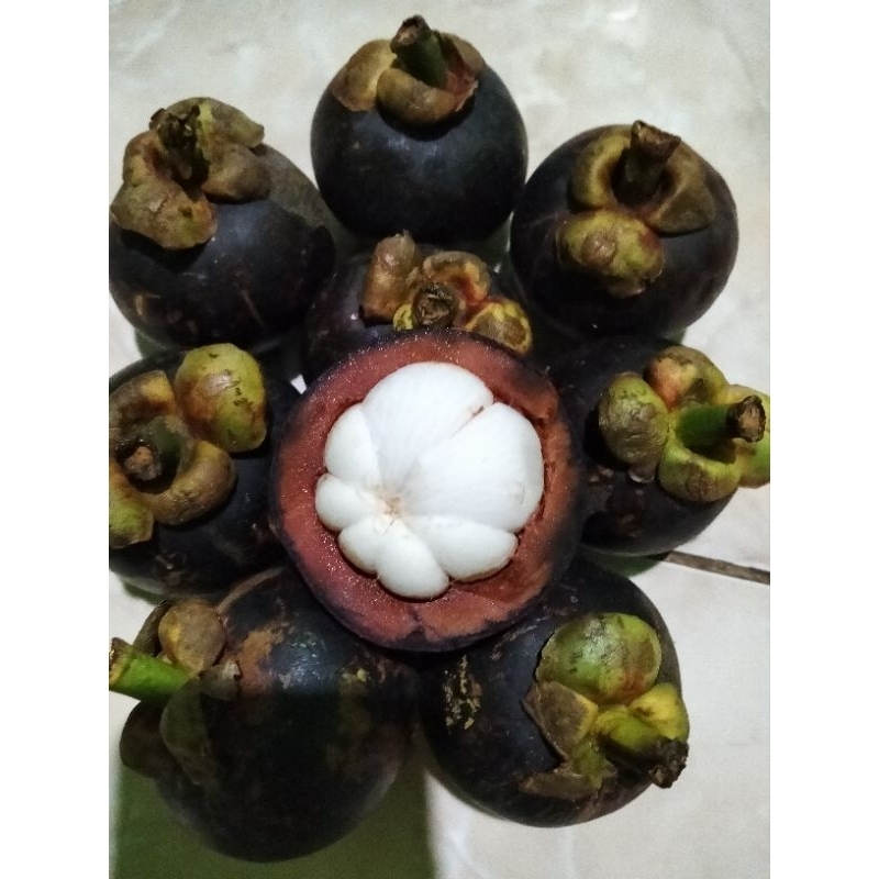 

Buah manggis 1kg.