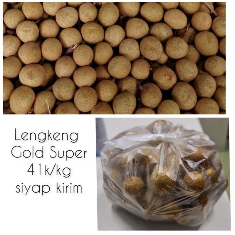 

Lengkeng Gold Super