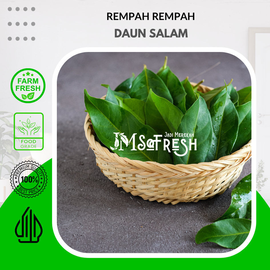 

[JMSoFresh] Daun Salam Segar