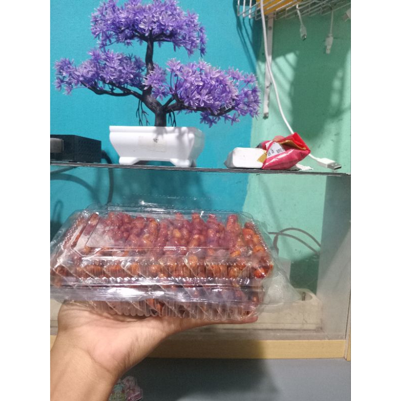 

kacangbaladopedesmanis