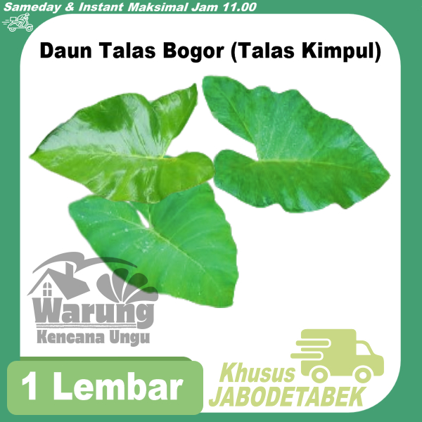 

Daun talas kimpul Bogor/ fresh murah / bungkus buntil / masakan buntil segar lebar 1 lembar untuk pakan ikan gurame belitung