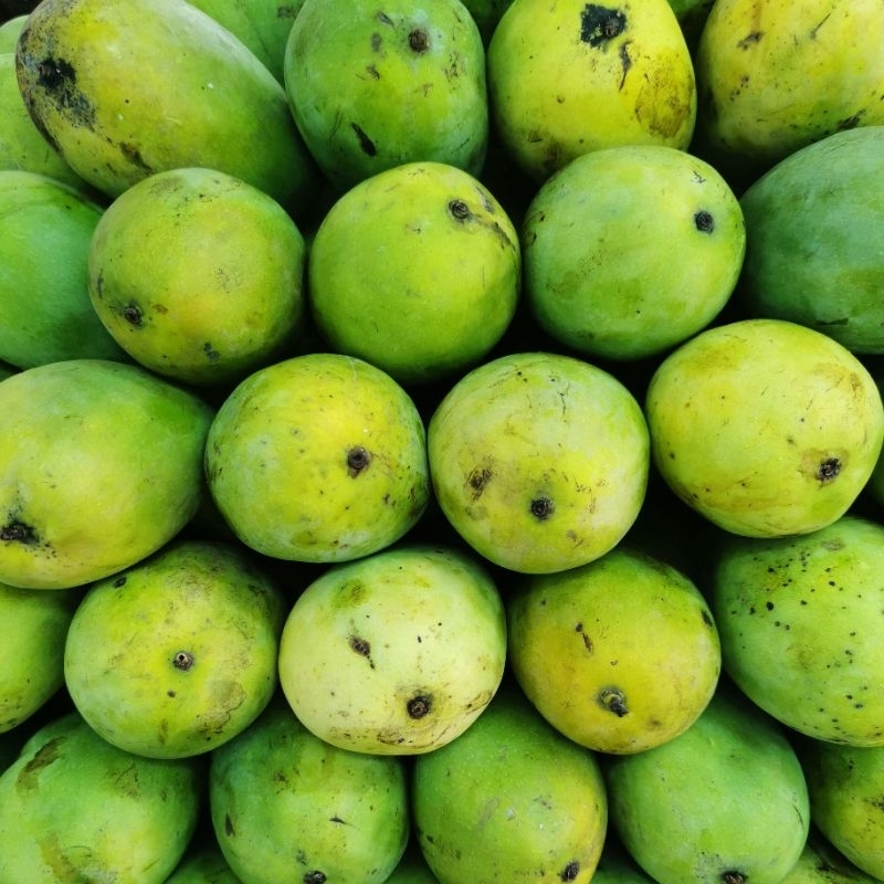 

Buah Mangga Harum Manis 650 G