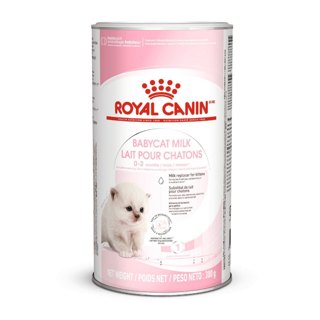susu royal canin 100gr frash pack - susu rc kitten
