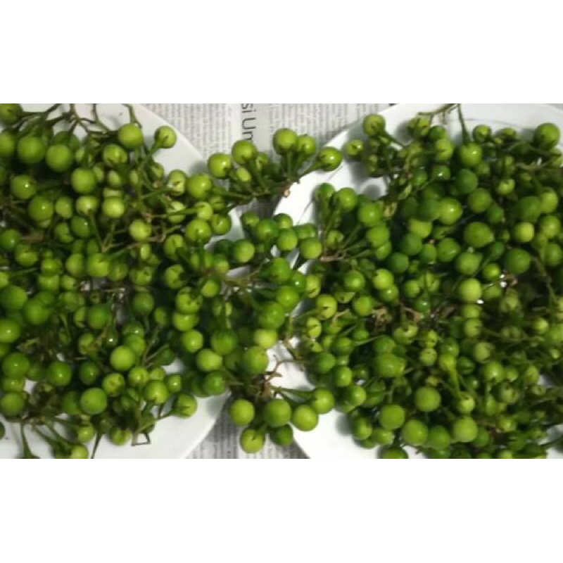 

RIMBANG / CEMPOKAK 100gram/200gram