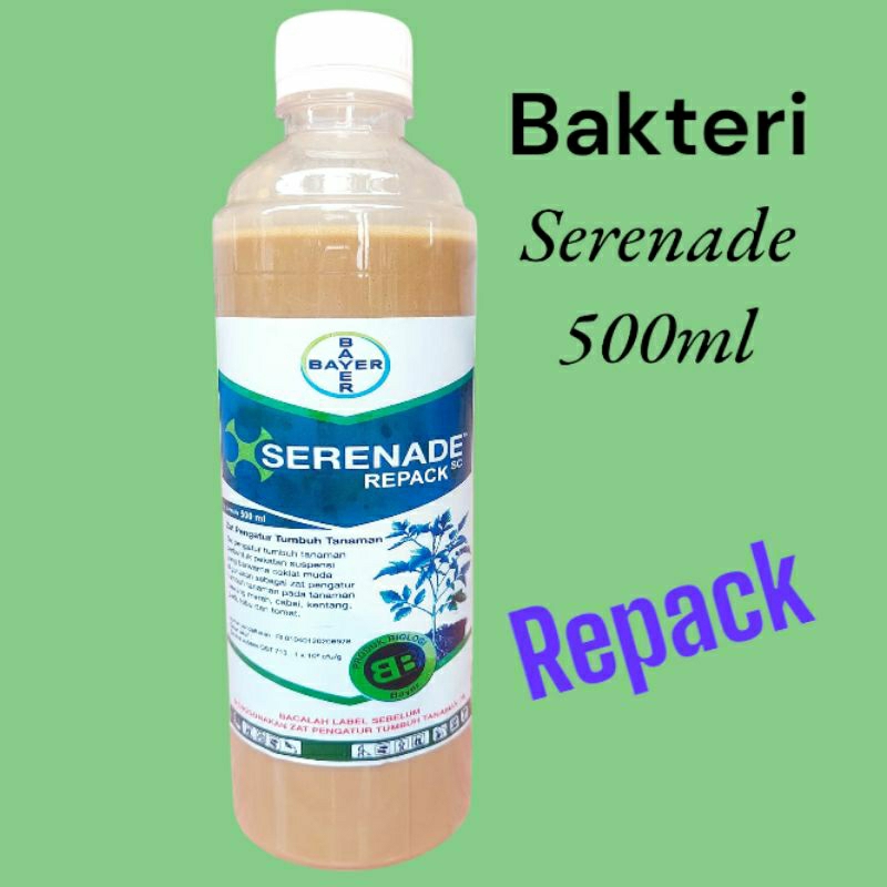SERENADE bayer bakteri layu REPACK