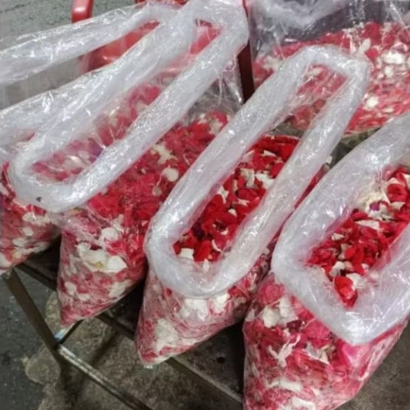 BUNGA TABUR PIHONG/BUNGA PIHONG