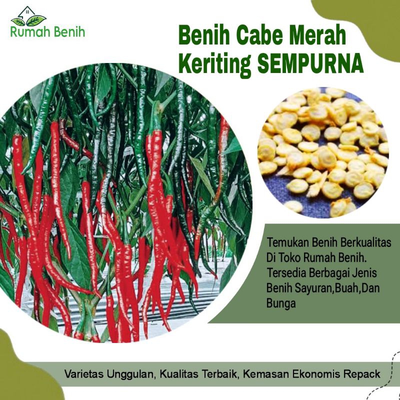 Benih Cabe Merah Keriting Sempurna Unggulan / Bibit Benih Cabe Merah Keriting / Biji Benih Cabe Mera