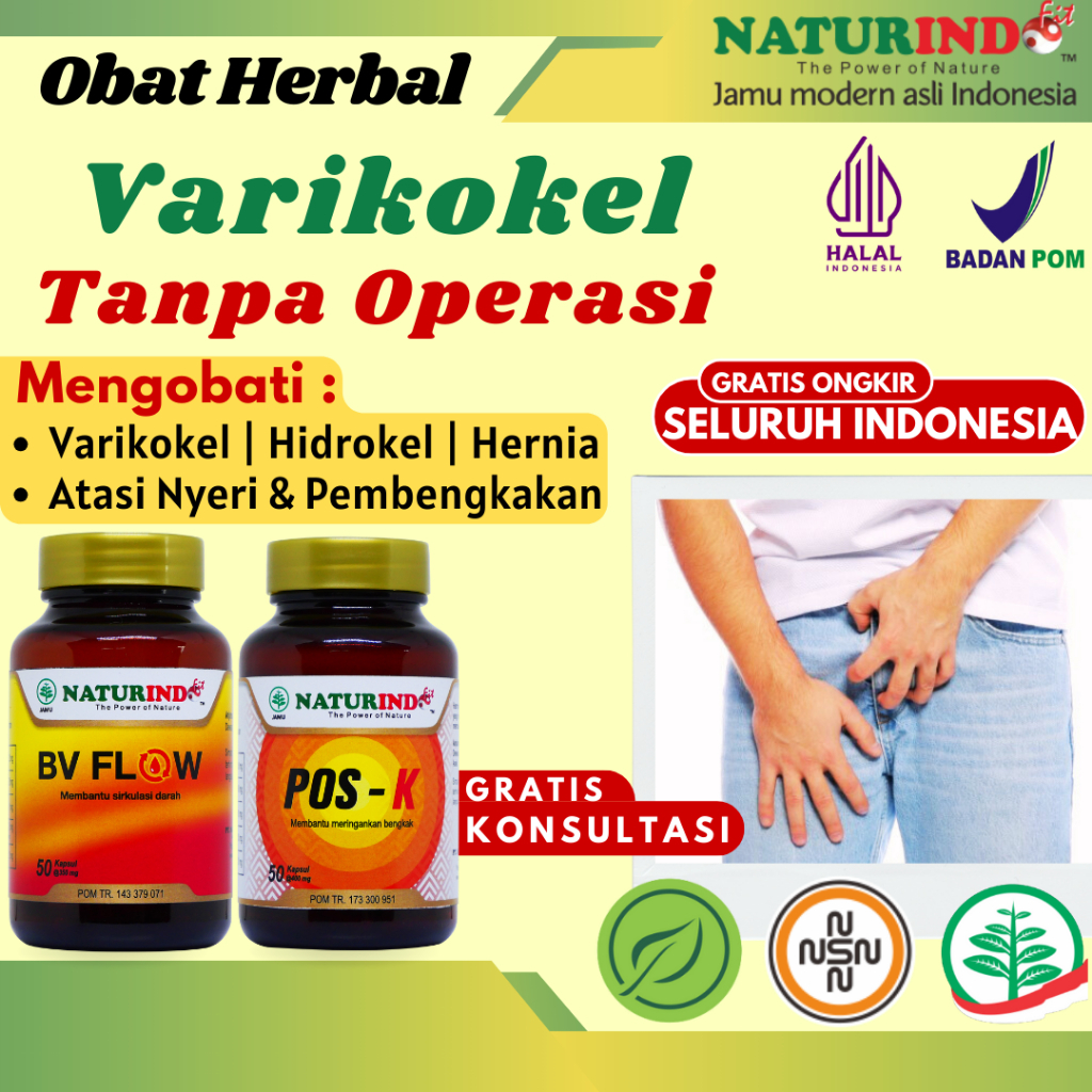 Obat Varikokel Varises Bengkak Benjolan Buah Zakar Nyeri Testis Pelancar Peredaran Darah Paling Ampu