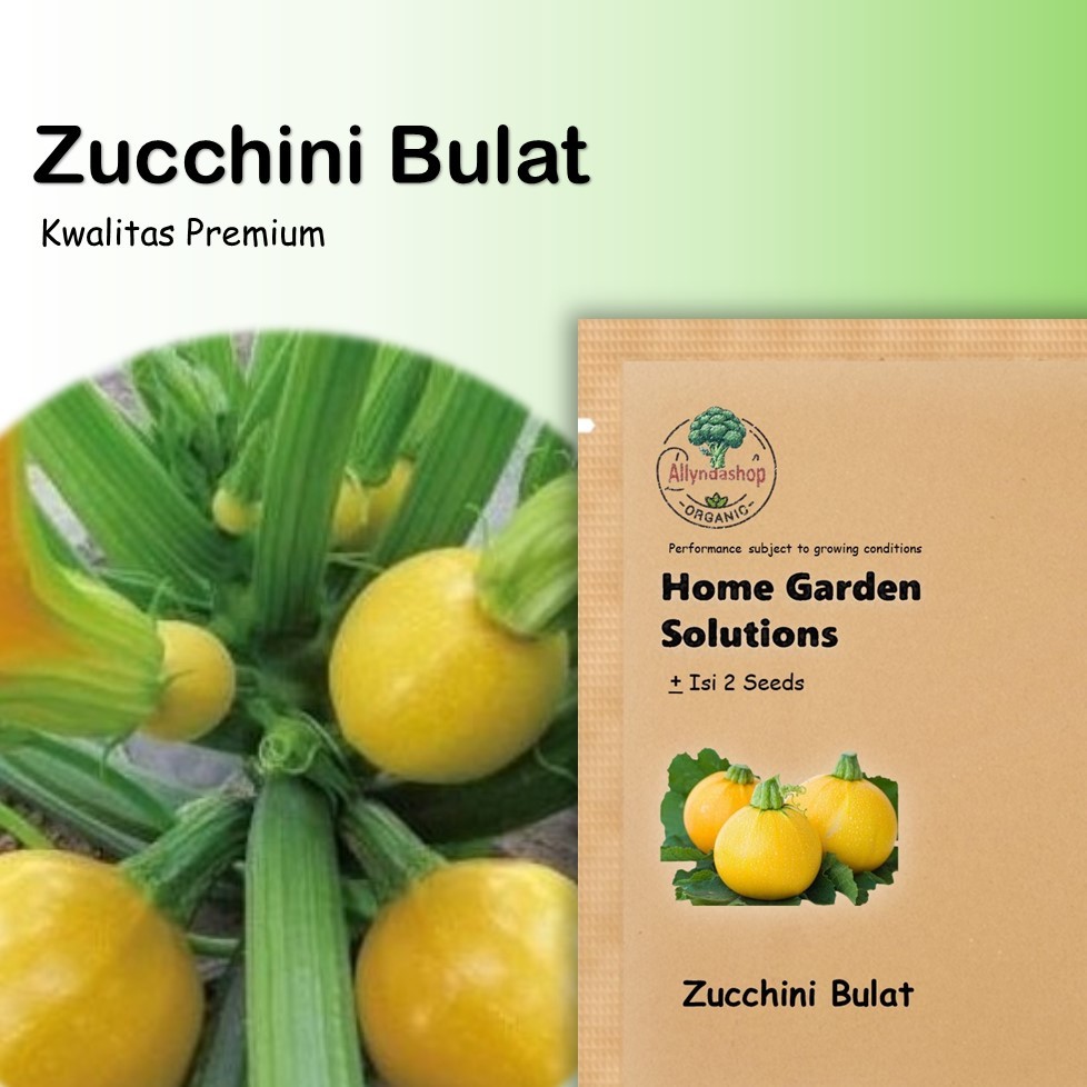 Bibit Benih Sayuran Zukini Zucchini Bulat Kuning