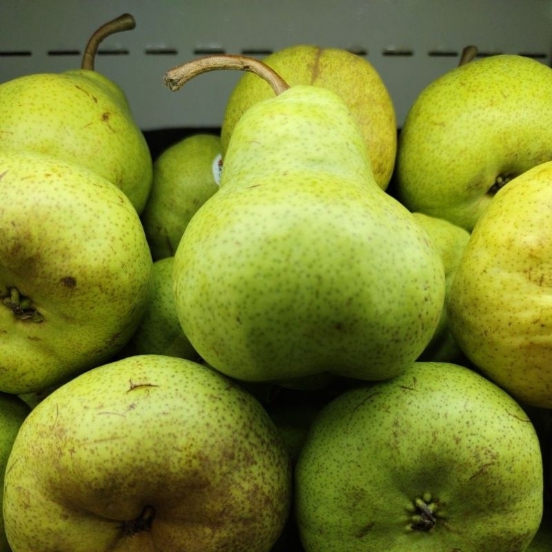 

pear packham 1kg