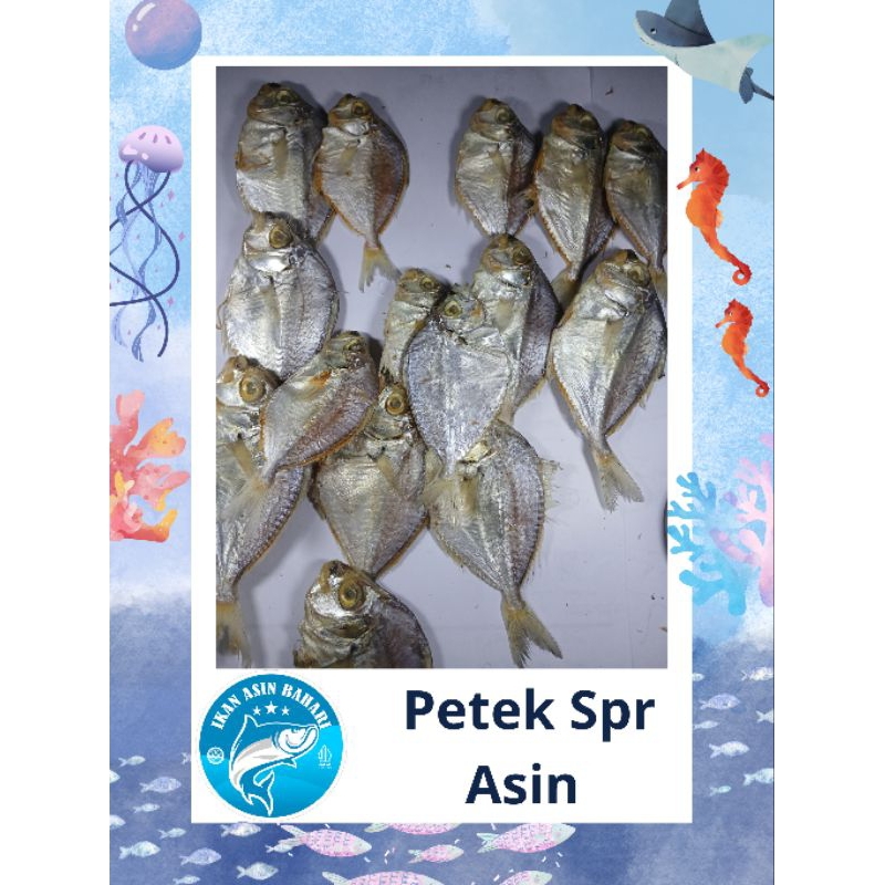 

Petek Asin spr 500 gram