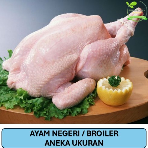 

AYAM BROILER / AYAM NEGERI / KARKAS AYAM UTUH / HARGA DITIMBANG / ANEKA UKURAN