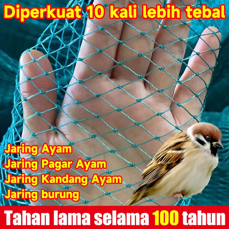 Tahan lama selama 100 tahun jaring ayam jaring pagar ayam jaring pagar kebun jaring pagar petani jar