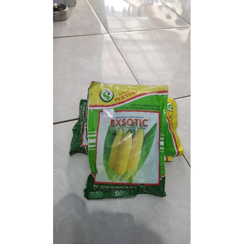 Benih Jagung Manis Exsotic Pertiwi