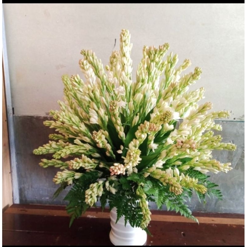 Rangkain Vas Sedap Malam 100 tangkai | Bunga Tangkai | Bunga Segar