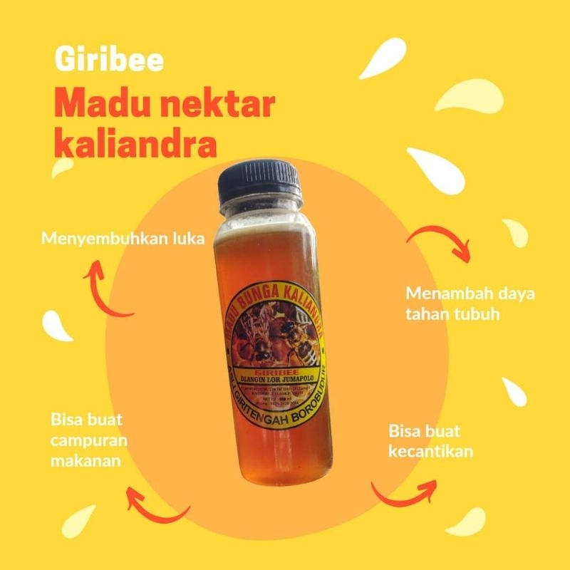 

madu bunga kaliandra