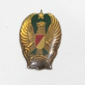 Pin AM TNI AD | Aksesoris TNI AD