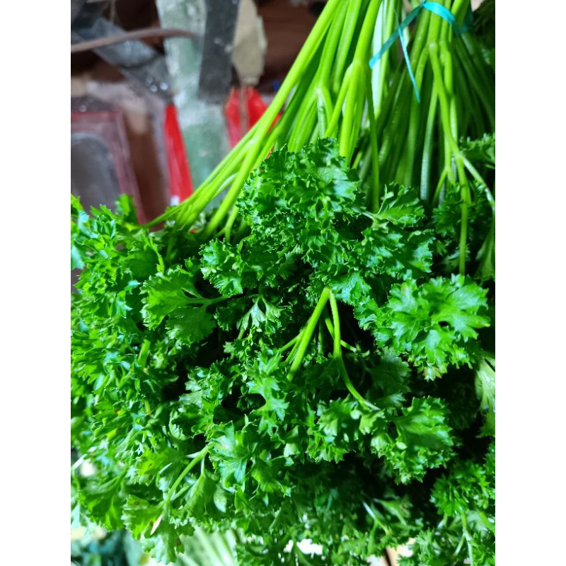 

daun peterseli / pasli segar 250gr