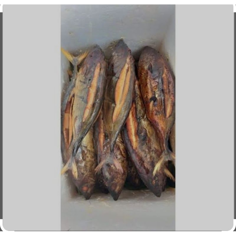 

IKAN ASAP KHAS PEKALONGAN (CAKALAN/TUNA) PERBIJI