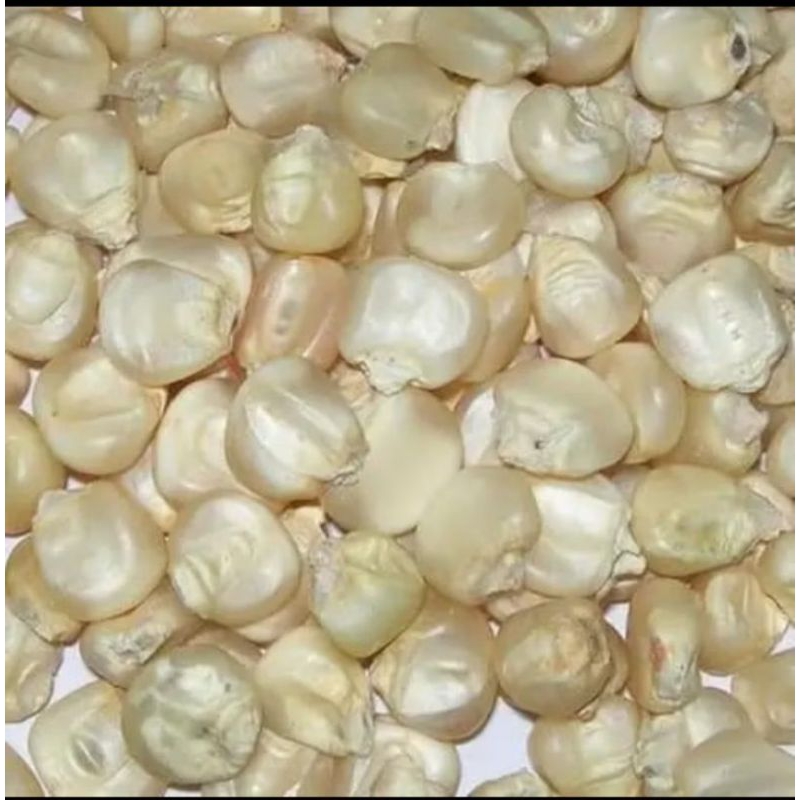 

JAGUNG PUTIH PIPIL KEMASAN VARIAN