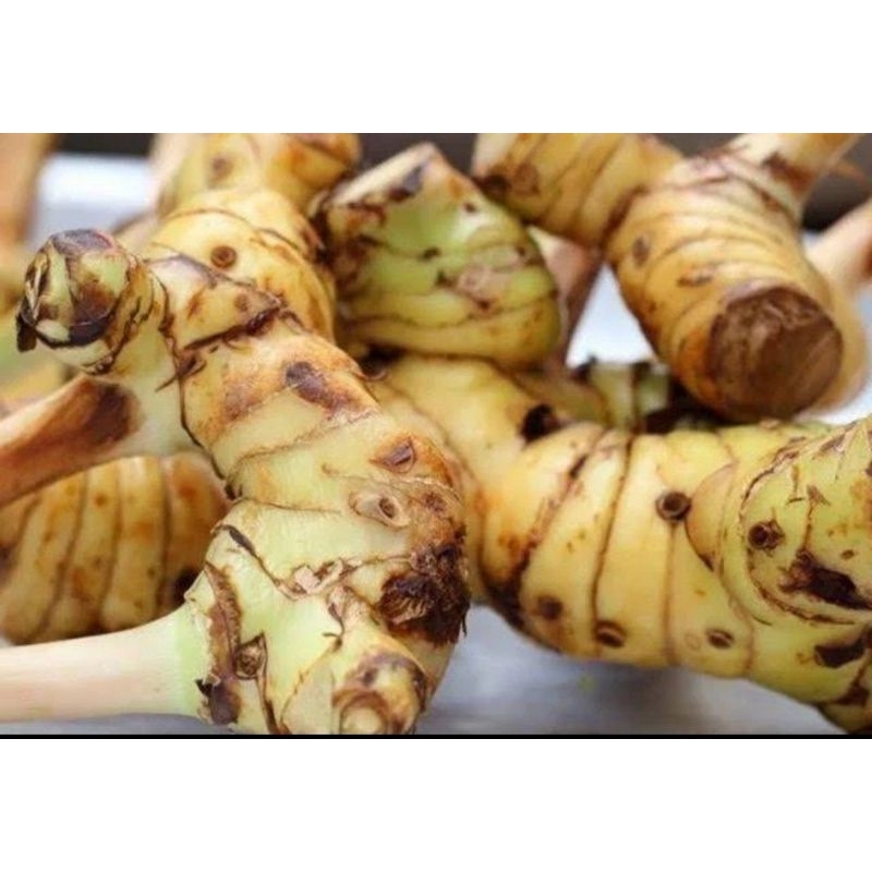 

100Gram Lengkuas Laja Segar Herbal