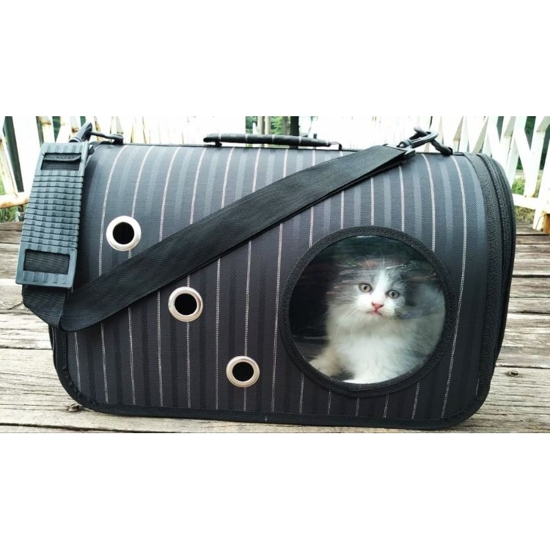 Wulann_Gemintang Tas Kucing Transparan Model 3In1 Astronot