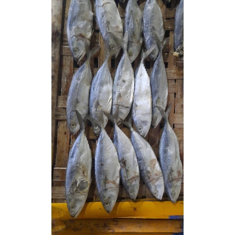 

ikan asin peda banyar/150gr/500gr/1kg
