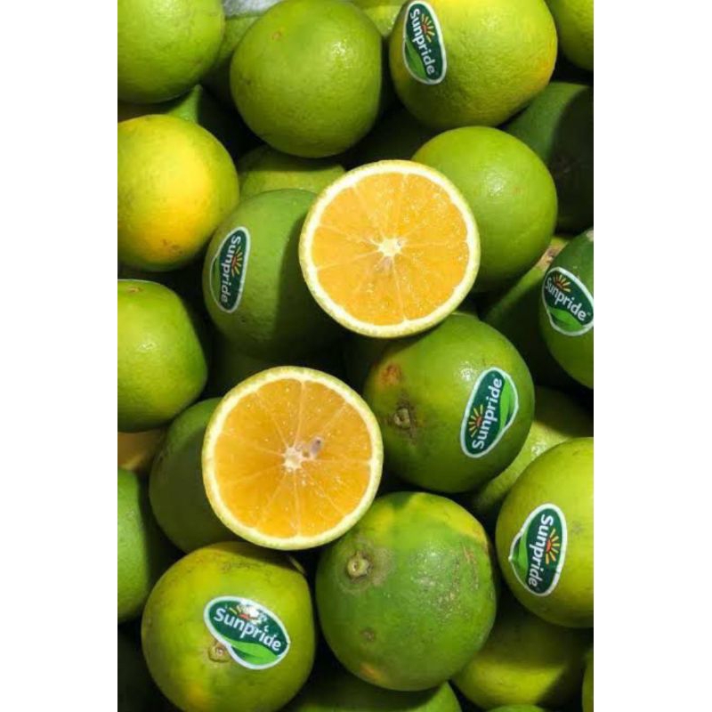 

Jeruk Baby | Jeruk baby Sunpride | Jeruk Sunpride manis