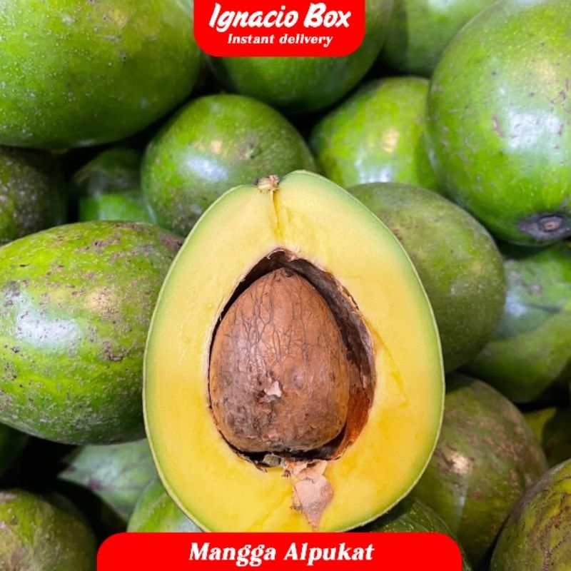 

PROMO Alpukat Mentega Reguler Segar 1Kg Organik IGNACIOBOX