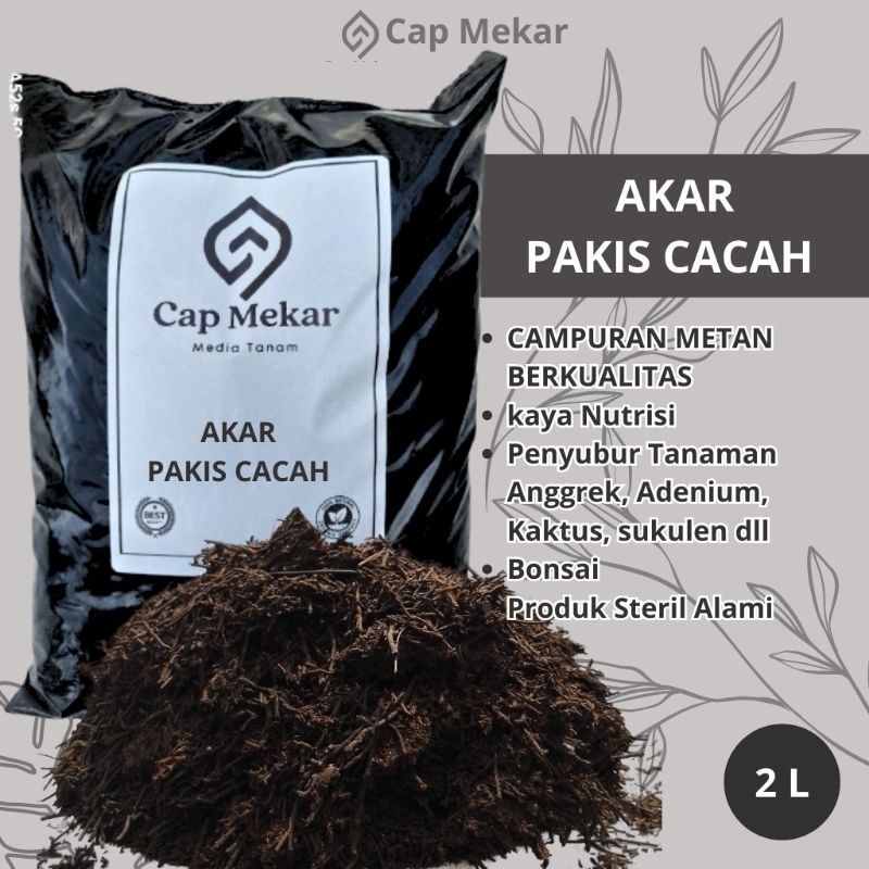 pakis cacah akar pakis pakis kering media tanam anggrek CAPMEKAR