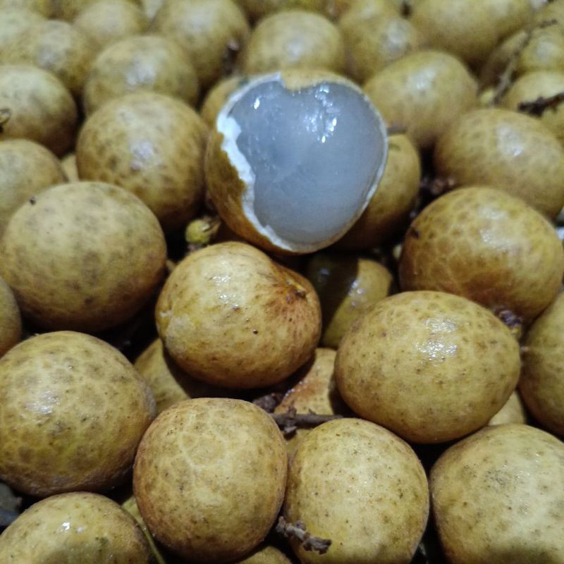 

Buah Kelengkeng 1 kg