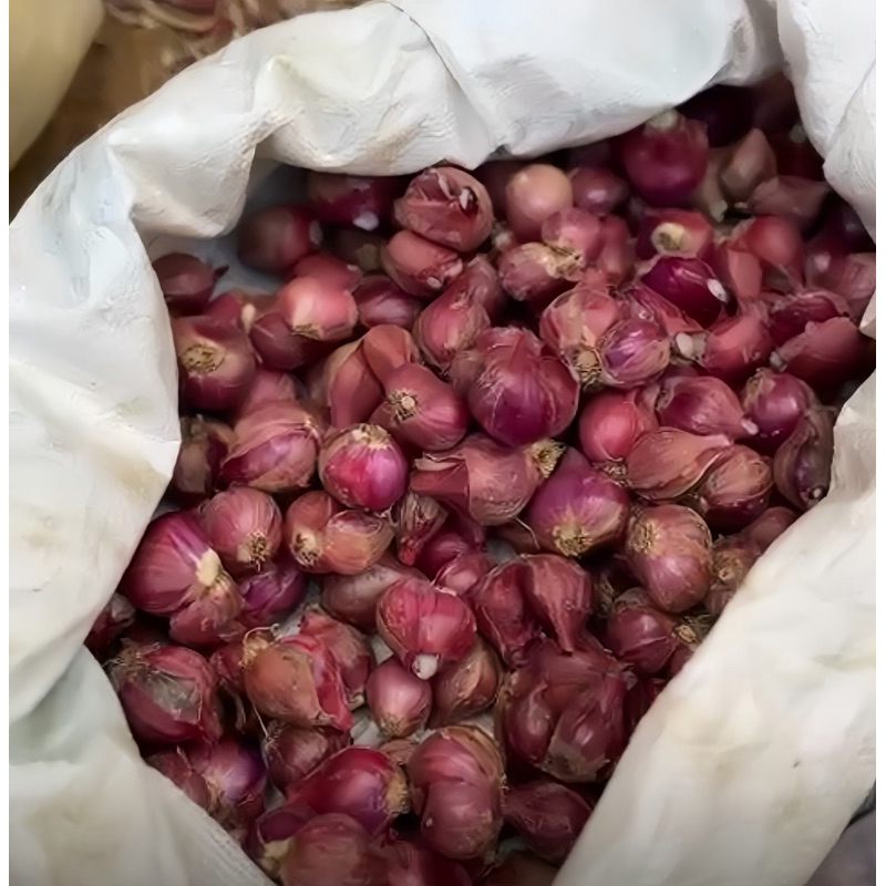 

BAWANG MERAH JUMBO 1 KG.