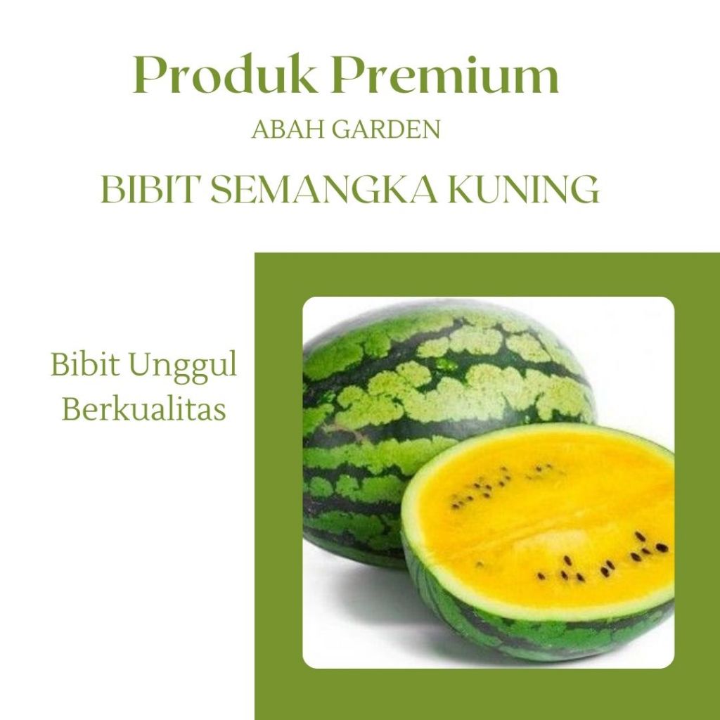 

Benih Buah Semangka Kuning Bibit Benih Semangka Kuning Bulat Bibit Unggul