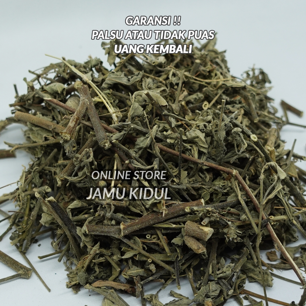 

Daun Sidaguri Kering 500gr Organik & Asli