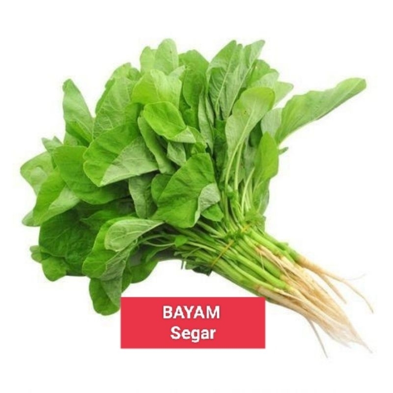 

GARANSI Sayur Bayam Segar 2 ikat