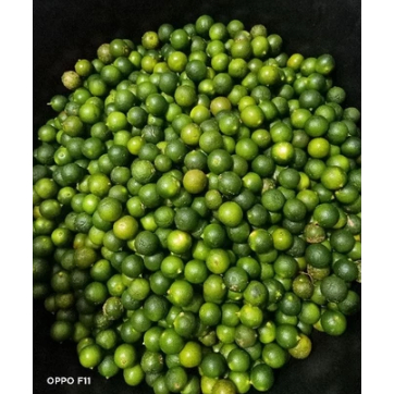 

TERMURAH 1 kg Sonkit / Jeruk Kasturi / Kalamansi / Lemon cui / Jeruk Kunci