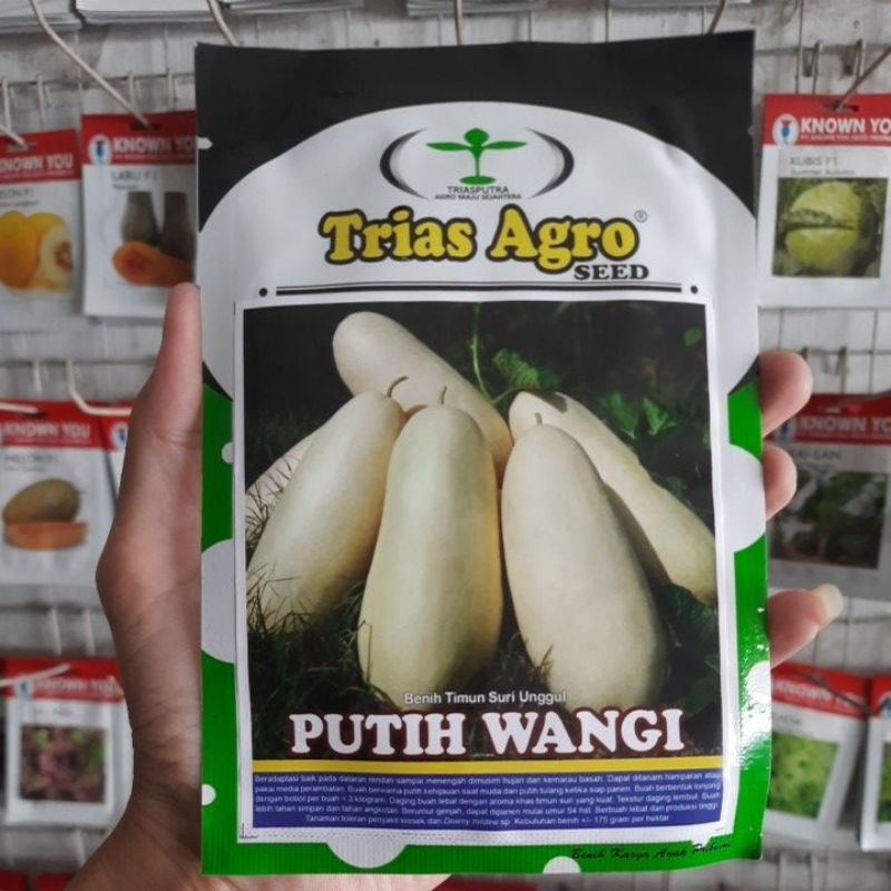 Benih Timun Suri PUTIH WANGI Isi 10gram