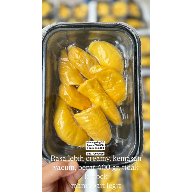 

Musangking 3D asli pahang Malaysia