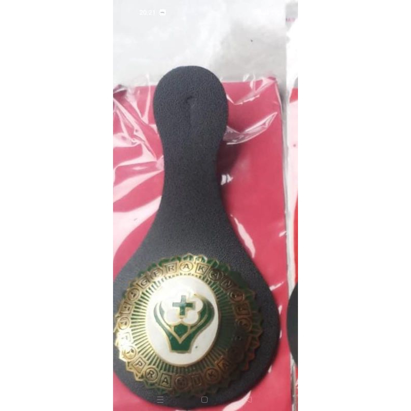 tanjab pinsaka cabang saka bakti husada