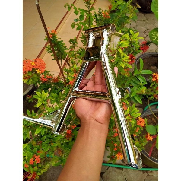 jagang tengah tiger crom