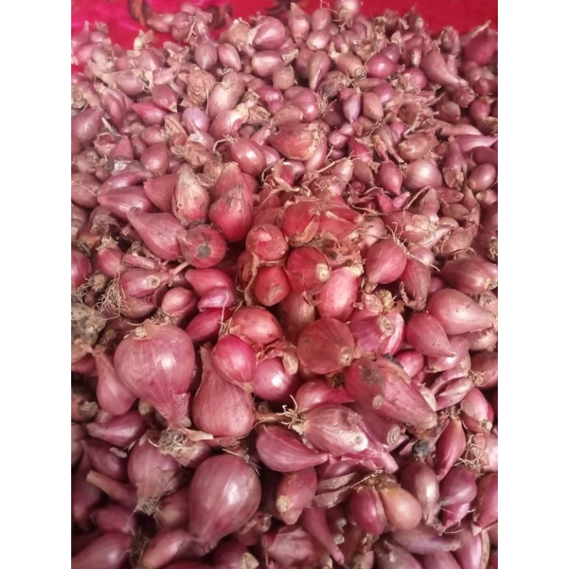 

TERMURAH bawang merah kering/1kg