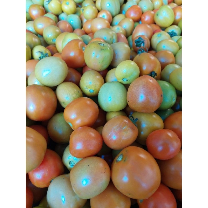 

Tomat 500gram