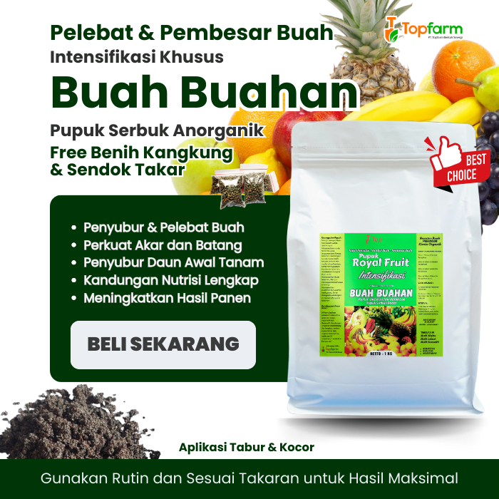 Pupuk Buah Semua Jenis Tanaman / Pupuk Tanaman Pelebat Buah Terbaik / Pupuk Tanaman Cepat Berbuah