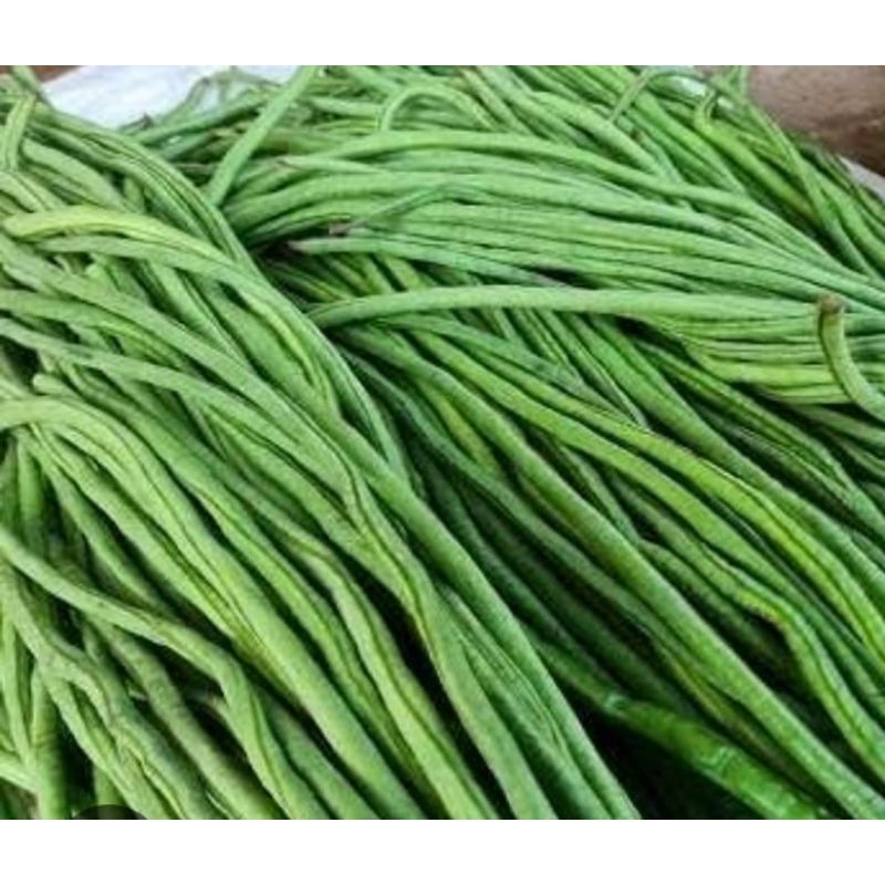 

kacang panjang / long beans