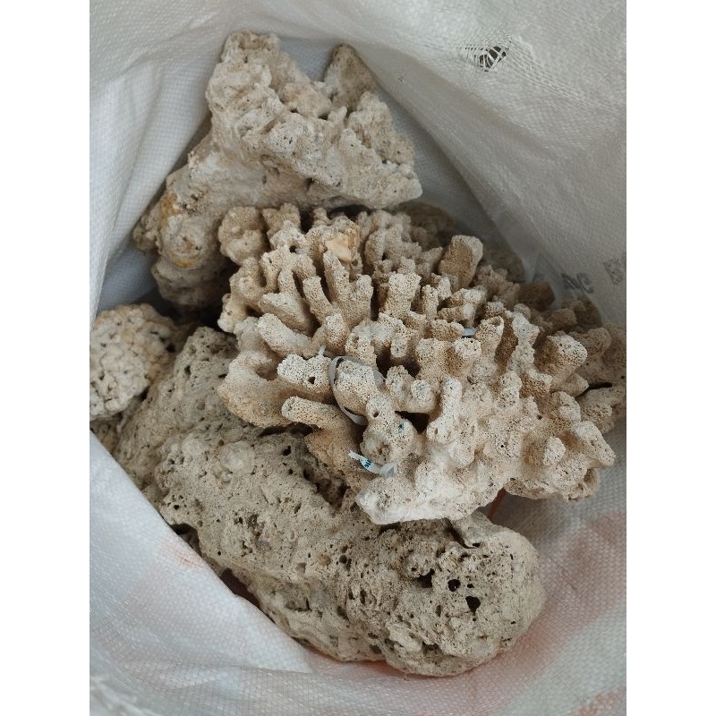 dead rock / karang mati hias aquarium