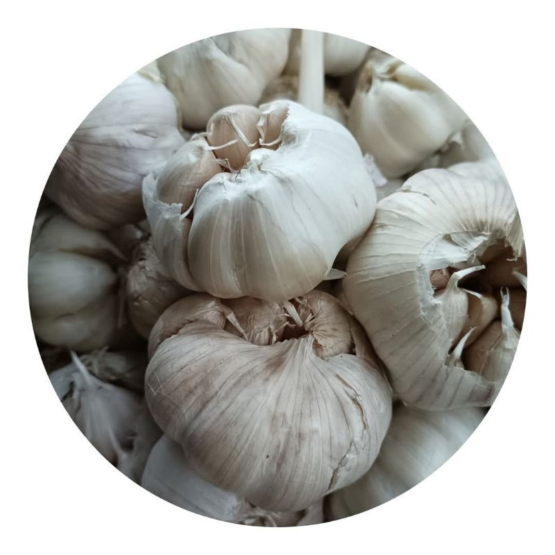

bawang putih 100 gram