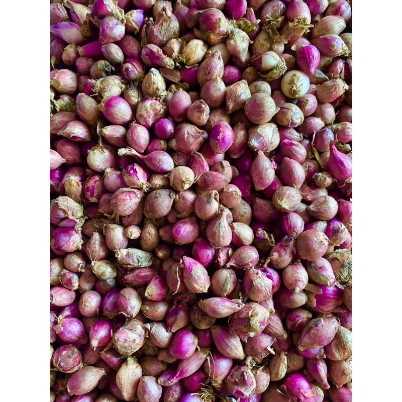 

BAWANG MERAH LEMBUT 500g termurah dan berkualitas