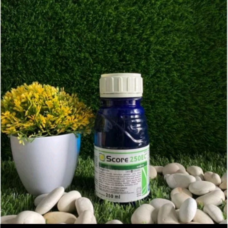 score 250ml