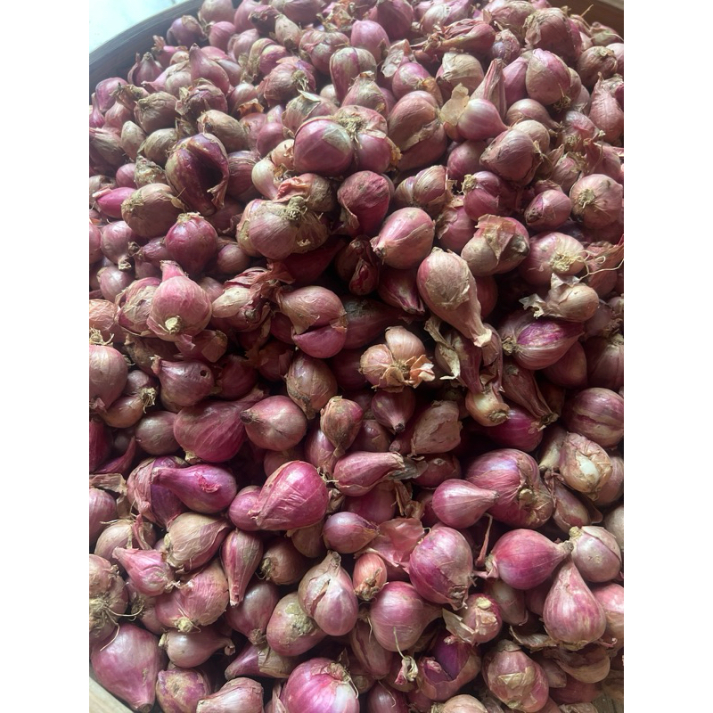 

(PER 2 KG) BAWANG MERAH LOKAL TANGGUNG - FRESH