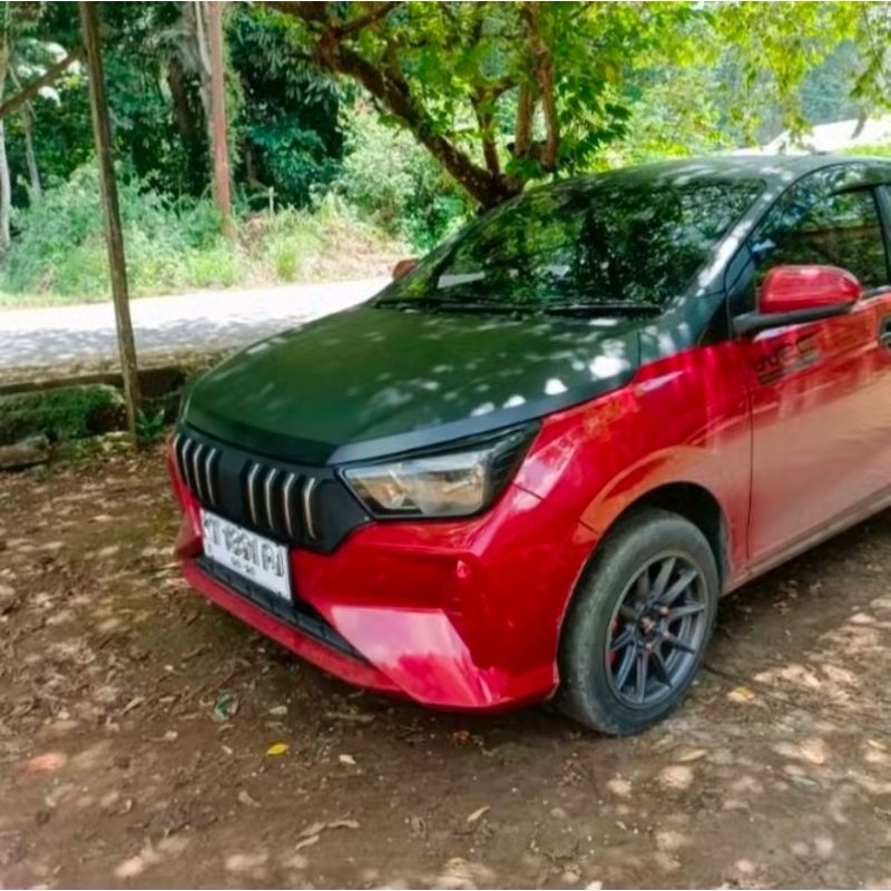 Grill apollo ayla terbaru 2023-2024
